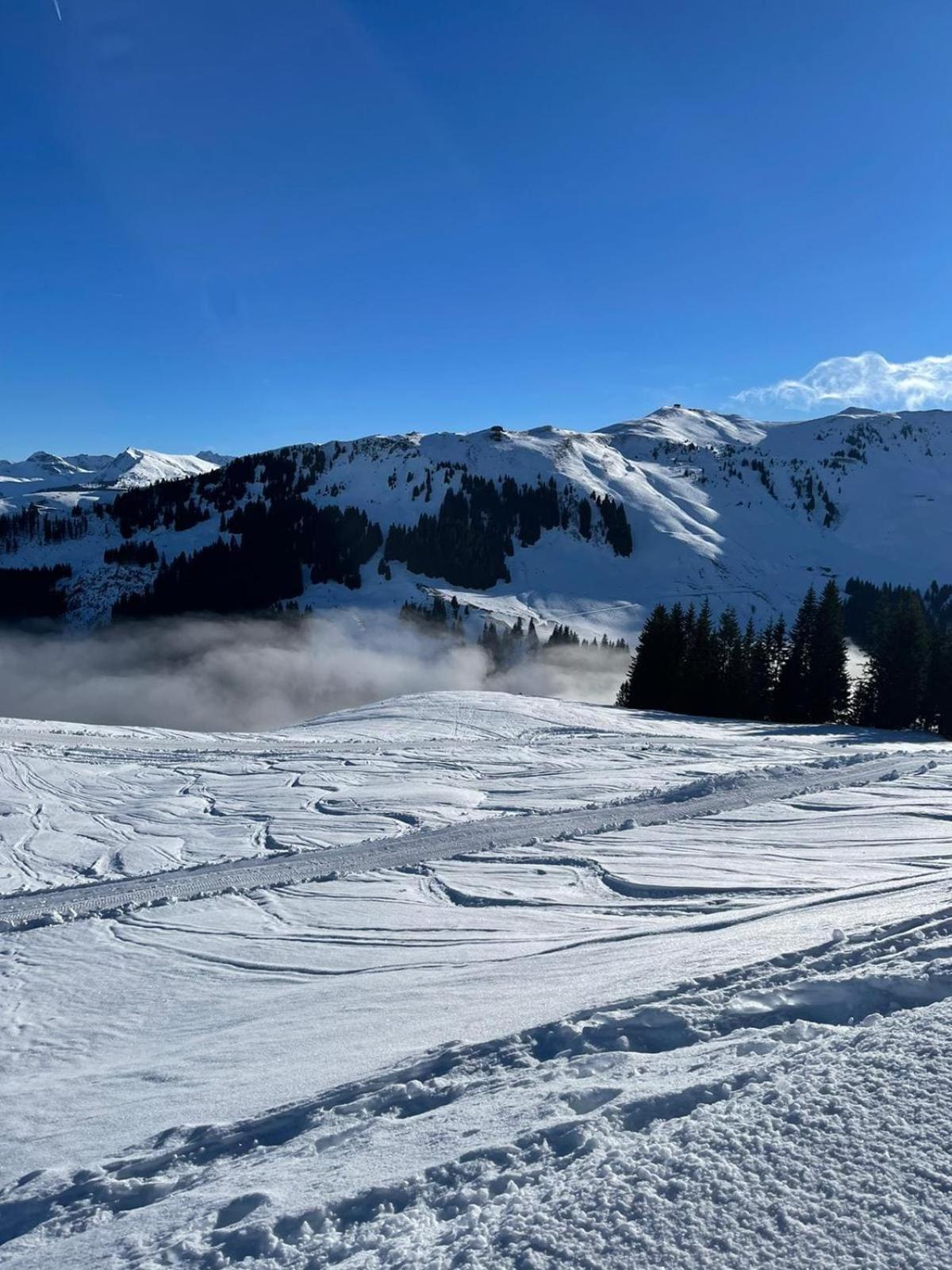Geniessen Sie Bergblick & Sauna Im Modernen Chalet Going am Wilden Kaiser Exterior photo